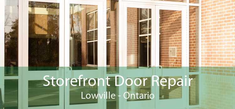 Storefront Door Repair Lowville - Ontario