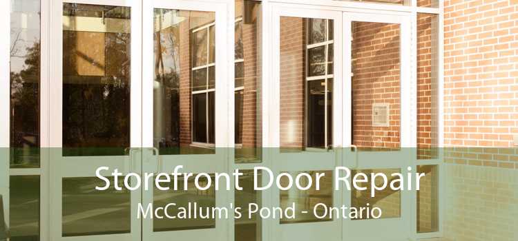 Storefront Door Repair McCallum's Pond - Ontario