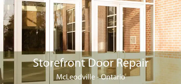 Storefront Door Repair McLeodville - Ontario