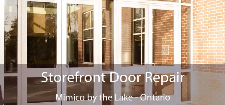 Storefront Door Repair Mimico by the Lake - Ontario