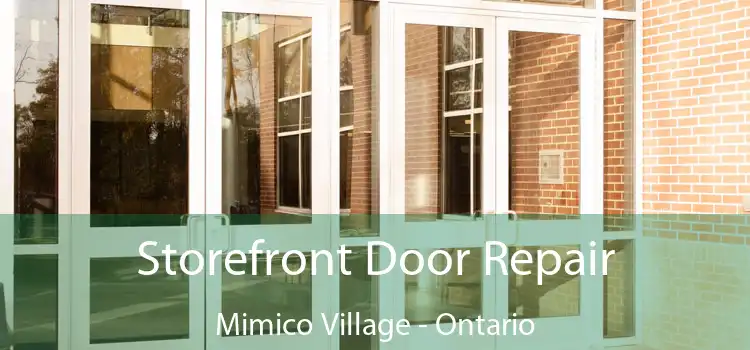 Storefront Door Repair Mimico Village - Ontario