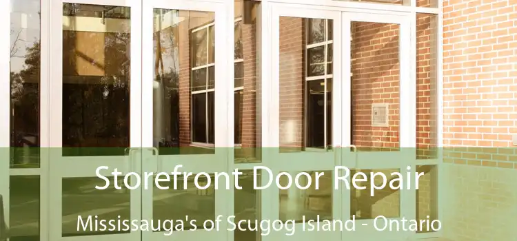 Storefront Door Repair Mississauga's of Scugog Island - Ontario