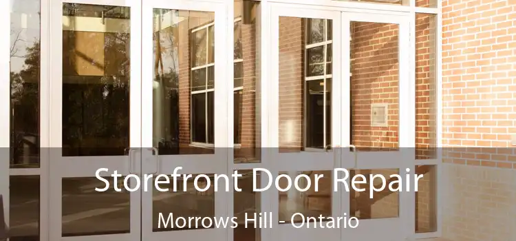 Storefront Door Repair Morrows Hill - Ontario