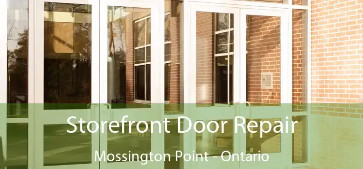 Storefront Door Repair Mossington Point - Ontario