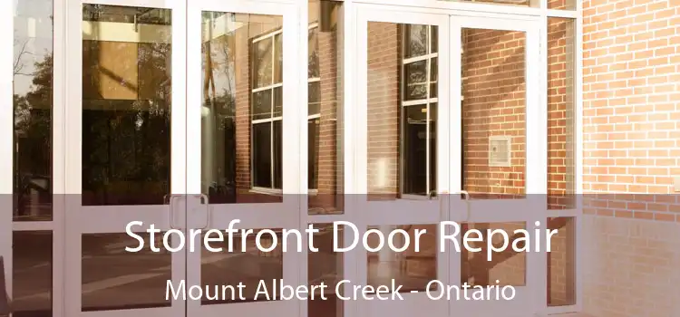 Storefront Door Repair Mount Albert Creek - Ontario