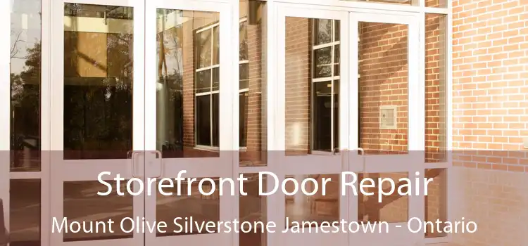Storefront Door Repair Mount Olive Silverstone Jamestown - Ontario
