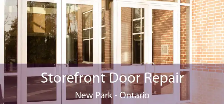 Storefront Door Repair New Park - Ontario