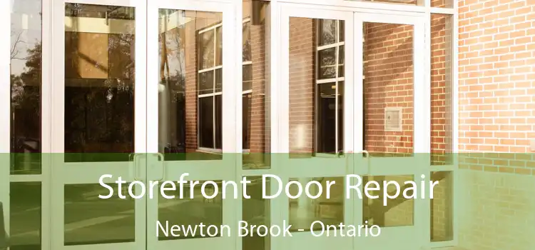 Storefront Door Repair Newton Brook - Ontario