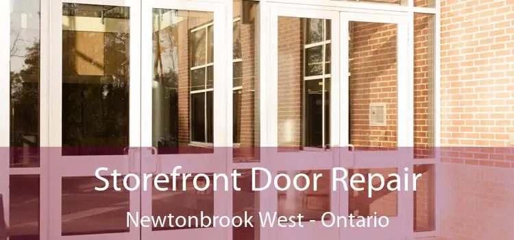 Storefront Door Repair Newtonbrook West - Ontario