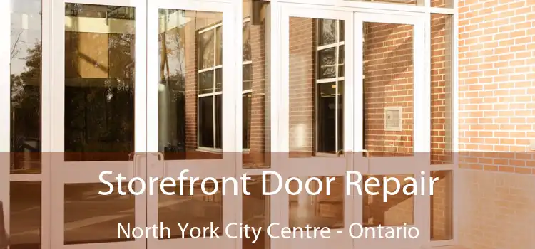 Storefront Door Repair North York City Centre - Ontario