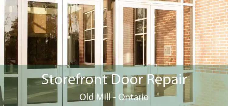 Storefront Door Repair Old Mill - Ontario