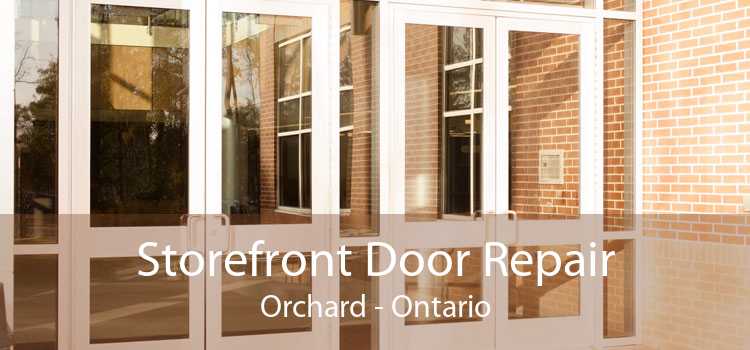 Storefront Door Repair Orchard - Ontario