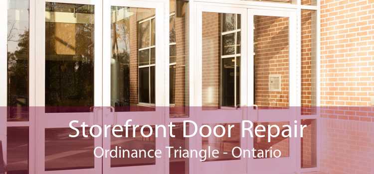 Storefront Door Repair Ordinance Triangle - Ontario