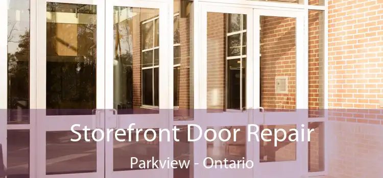 Storefront Door Repair Parkview - Ontario