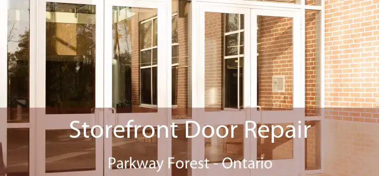 Storefront Door Repair Parkway Forest - Ontario