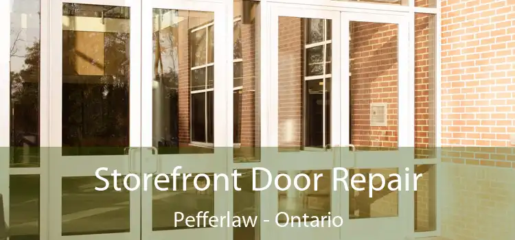 Storefront Door Repair Pefferlaw - Ontario