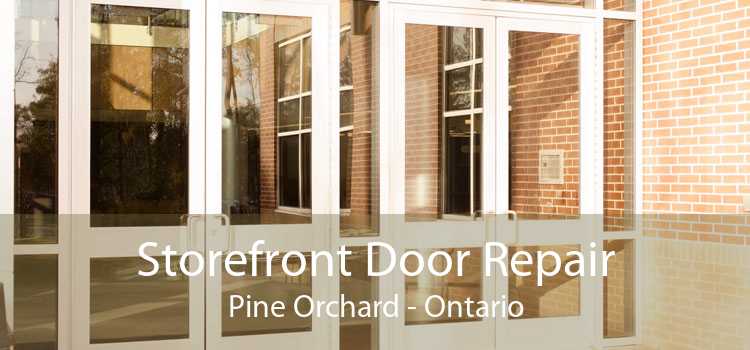Storefront Door Repair Pine Orchard - Ontario
