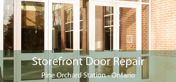 Storefront Door Repair Pine Orchard Station - Ontario
