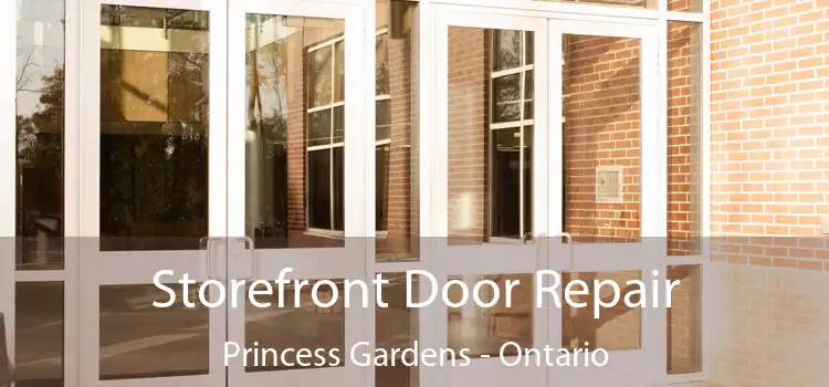 Storefront Door Repair Princess Gardens - Ontario