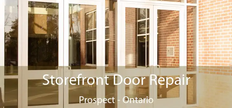 Storefront Door Repair Prospect - Ontario