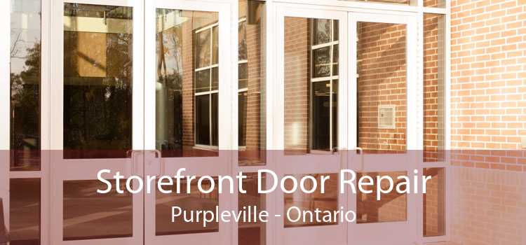 Storefront Door Repair Purpleville - Ontario