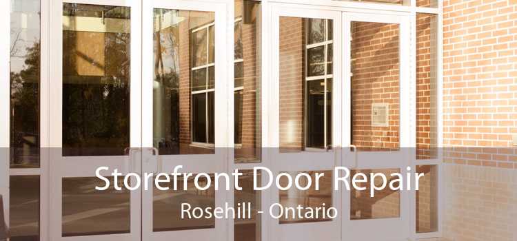 Storefront Door Repair Rosehill - Ontario