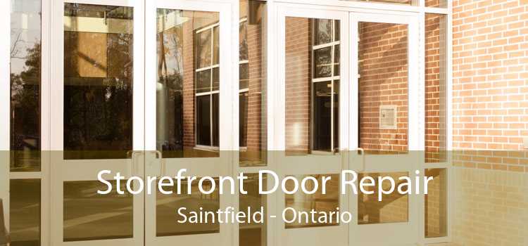 Storefront Door Repair Saintfield - Ontario