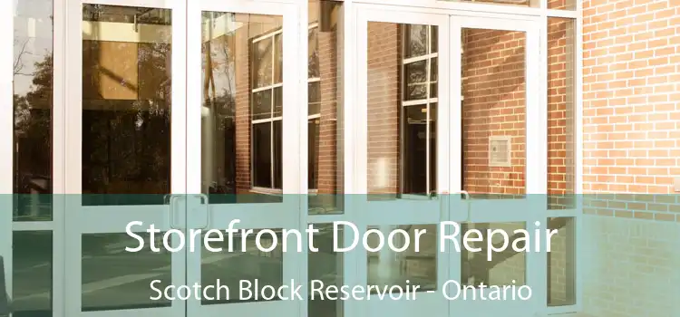 Storefront Door Repair Scotch Block Reservoir - Ontario