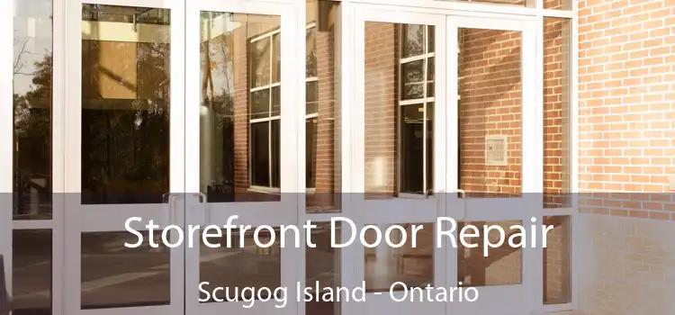 Storefront Door Repair Scugog Island - Ontario