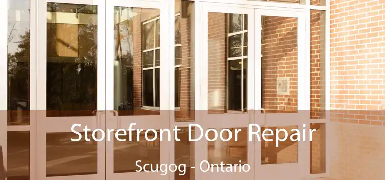 Storefront Door Repair Scugog - Ontario