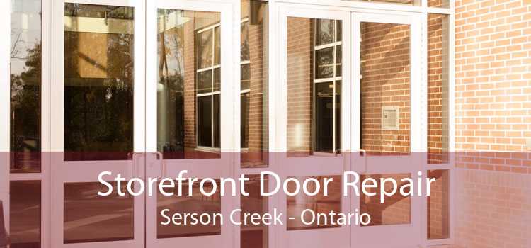 Storefront Door Repair Serson Creek - Ontario