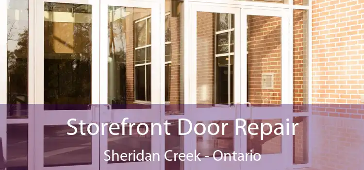 Storefront Door Repair Sheridan Creek - Ontario