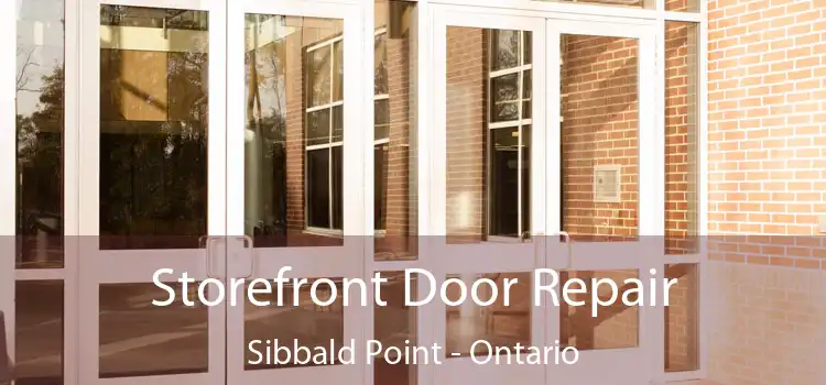 Storefront Door Repair Sibbald Point - Ontario