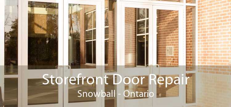 Storefront Door Repair Snowball - Ontario