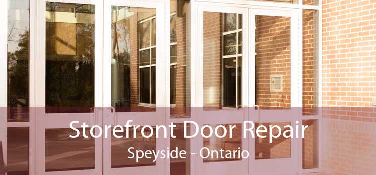 Storefront Door Repair Speyside - Ontario