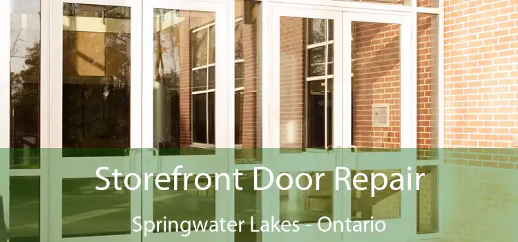 Storefront Door Repair Springwater Lakes - Ontario