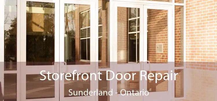 Storefront Door Repair Sunderland - Ontario