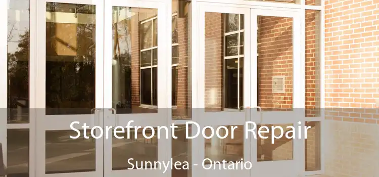Storefront Door Repair Sunnylea - Ontario