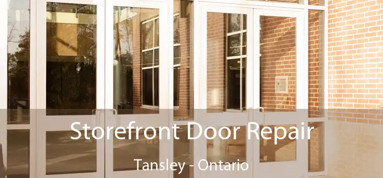 Storefront Door Repair Tansley - Ontario