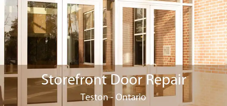 Storefront Door Repair Teston - Ontario
