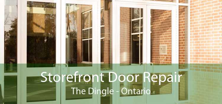 Storefront Door Repair The Dingle - Ontario