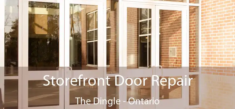 Storefront Door Repair The Dingle - Ontario