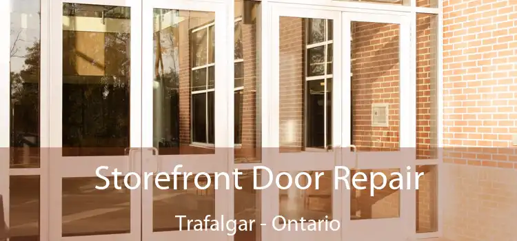 Storefront Door Repair Trafalgar - Ontario