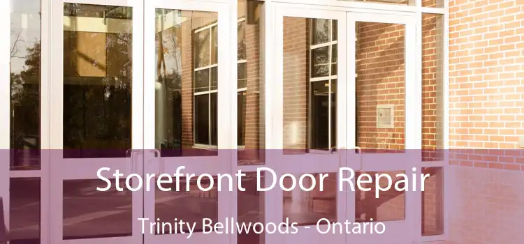 Storefront Door Repair Trinity Bellwoods - Ontario