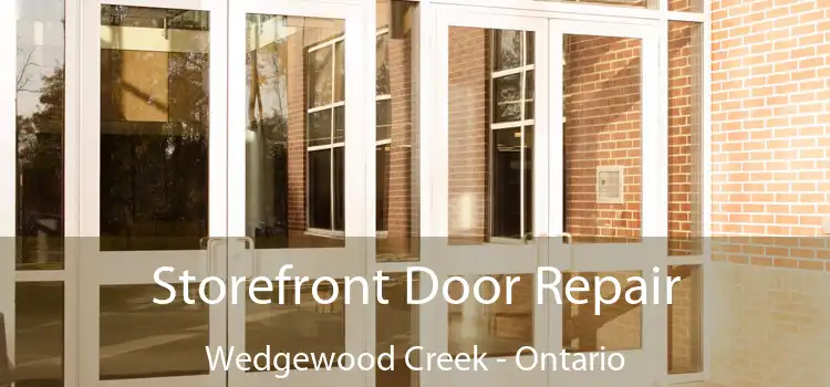 Storefront Door Repair Wedgewood Creek - Ontario