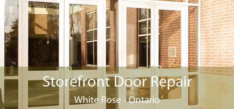 Storefront Door Repair White Rose - Ontario