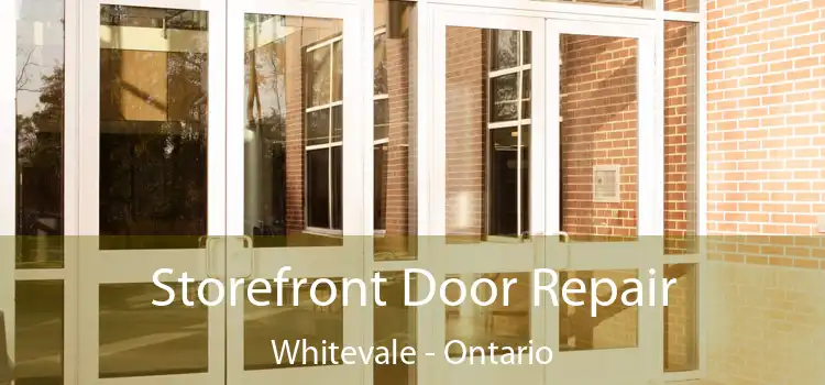 Storefront Door Repair Whitevale - Ontario