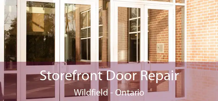 Storefront Door Repair Wildfield - Ontario
