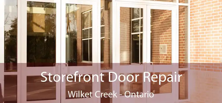 Storefront Door Repair Wilket Creek - Ontario