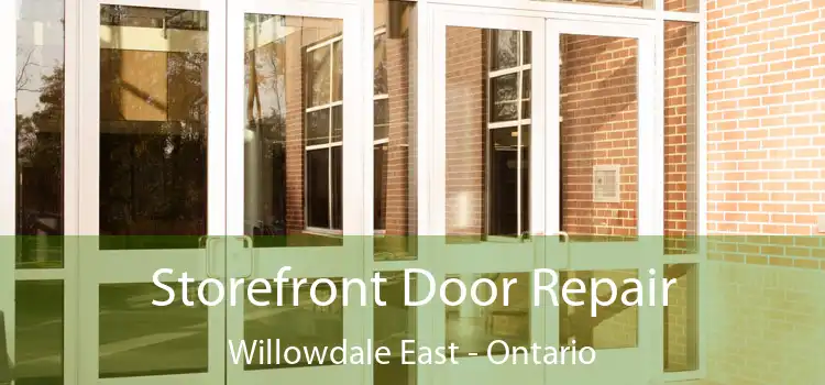 Storefront Door Repair Willowdale East - Ontario